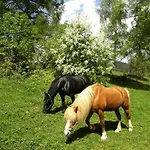 Апартаменты Bacherhof