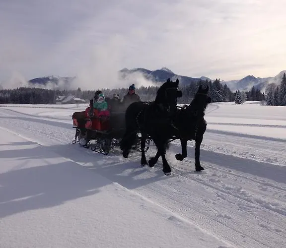 Apartament Bacherhof *