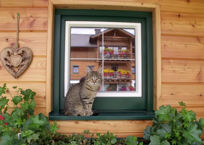 Apartament Bacherhof *