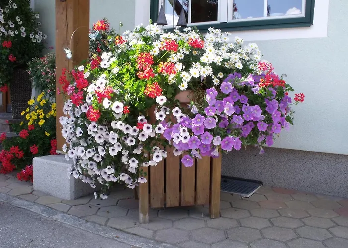 Bacherhof Schladming